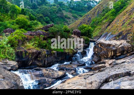 With a backdrop of a lush forest, a lovely stream of water is seen flowing down some granite boulders. Stock Photo