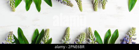 Purple lupins and green leaves on white background. Banner for product advertising. Copy space. Stock Photo