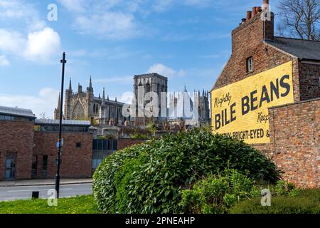 YORK, UK - APRIL 17, 2023. The famous Bile Beans vintage advertisement sign with York Minster in the background Stock Photo