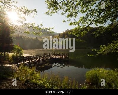 Beautiful lake. Morning in Borcka Karagol Nature Park. Summer season. Artvin's most popular travel destination. The nature of the Black Sea region. Ar Stock Photo