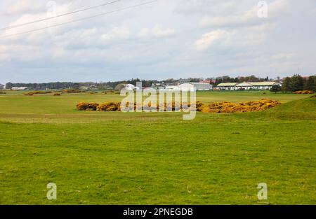 The Curragh Camp, County Kildare, Ireland Stock Photo - Alamy