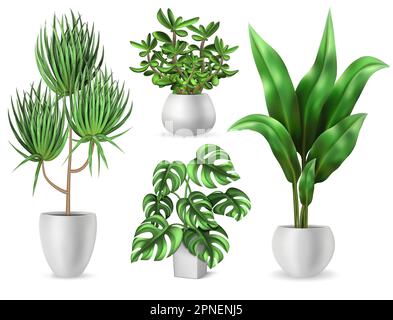 Houseplants set with green leaves realistic isolated vector illustration Stock Vector