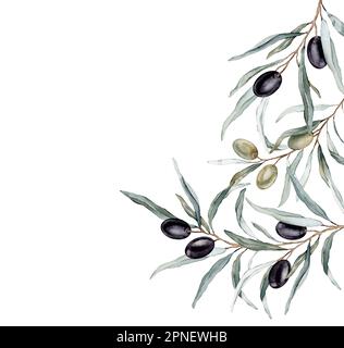 Watercolor olive tree wreath with black olives. Isolated on white ...
