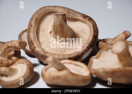 Shiitake Mushroom in black package on white background in macro shot Stock Photo