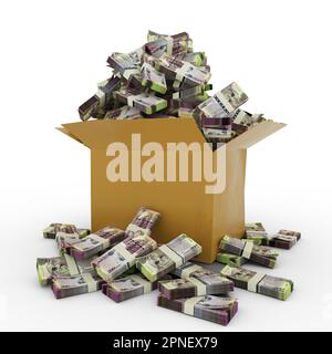 3d rendering of cardboard box full of Botswanan Pula notes isolated on a white background Stock Photo