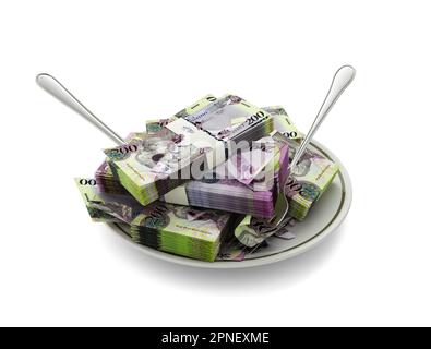 3D rendering of Botswanan Pula notes on plate. Money spent on food concept. Food expenses, expensive meal, spending money concept. eating money, misus Stock Photo