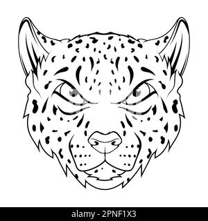 Snow leopard. Vector illustration of a sketch irbis wild cats. Bars Stock Vector