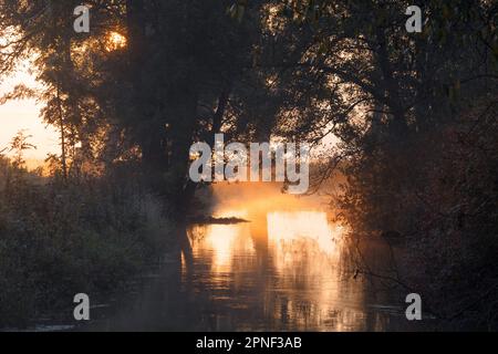 ground fog at sunrise over the river Dorfen, Germany, Bavaria Stock Photo