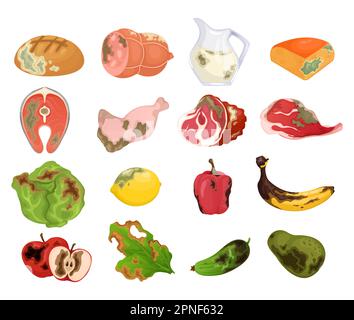 Rotten food cartoon set of spoiled moldy organic milk and meat products isolated vector illustration Stock Vector