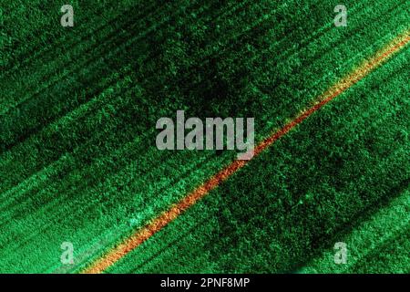 Green and yellow abstract background Stock Photo