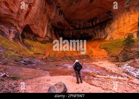 United States, Utah, Zion National Park, Senior blonde woman hiking Stock Photo