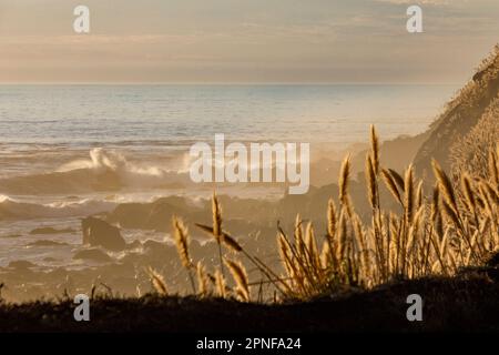 Waves on Big Sur coast Stock Photo