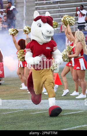 BIRMINGHAM, AL - APRIL 15: Birmingham Stallions offensive lineman Derwin  Gray (77) during the USFL game between the Birmingham Stallions and the New  Jersey Generals on April 15th, 2023 at Protective Stadium