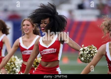 BIRMINGHAM, AL - APRIL 15: Birmingham Stallions offensive lineman Derwin  Gray (77) during the USFL game between the Birmingham Stallions and the New  Jersey Generals on April 15th, 2023 at Protective Stadium