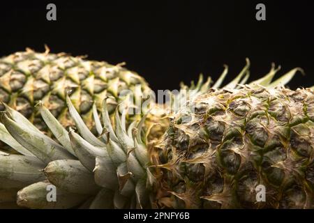 A close up studio photo of a whole pineapple laying on its side against a black background. Stock Photo