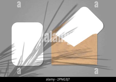 An envelope with two sheets of white paper on grey background. Mock up with an overlay of plant shadows. Natural light casts shadows from the palm bra Stock Vector