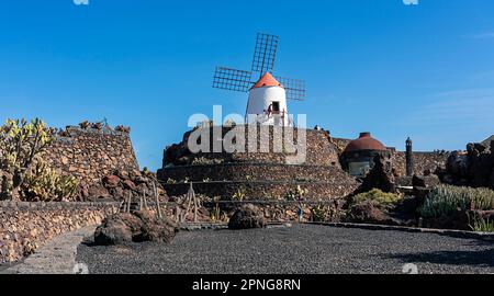 Windmill in the Jardin de Cactus, Cesar Manrique, Lanzarote, Canary Islands, Spain Stock Photo