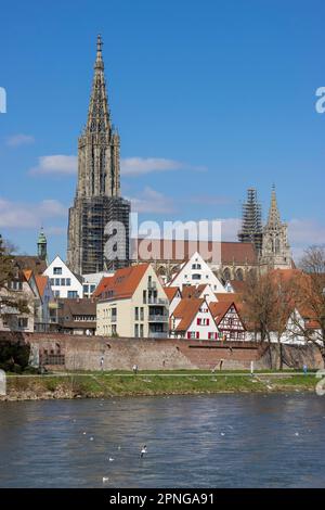 Danube and Danube Promenade with Ulm City Wall and behind Ulm Minster and the Fischerviertel Building, Ulm, Baden-Wuerttemberg, Germany Stock Photo