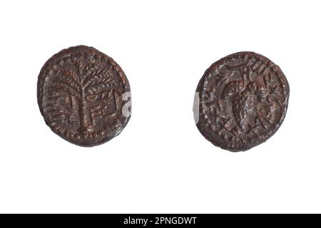 Bronze Eleazr the Priest coin 132 AD. Left Palm Tree right bunch of grapes wit the inscription 'Year one of the redemption of Israel Stock Photo