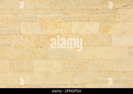 Shell limestone wall texture background. Stock Photo