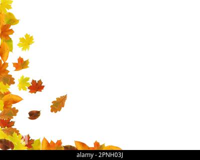 Border made from set of nice various autumn leaves Stock Photo