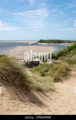 Coastal scenery between Porthmadog and Morfa Bychan on the Glaslyn estuary, North Wales. Ynys Cyngar in the background. Stock Photo