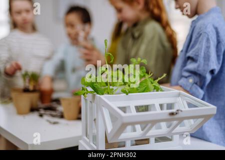 Happy children learning how to take care about plants. Stock Photo