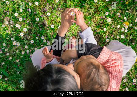 mother and baby daughter picking up flowers and daisies in meadows during blossom season on a sunny spring day. concept of motherhood and enjoying tim Stock Photo