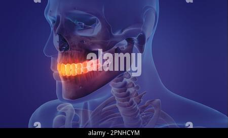 Animation of a painful teeth Stock Photo