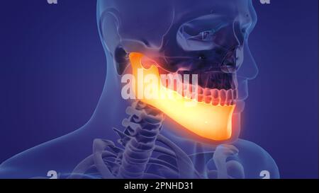 Animation of a painful mandible Stock Photo