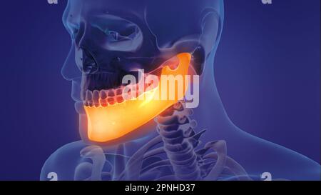 Animation of a painful mandible Stock Photo