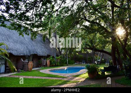 Sunrise garden and pool view Stock Photo