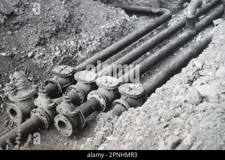 Irrigation and water supply Yehi'am (Yehiam יְחִיעָם) is a kibbutz in northern Israel. Located at the western Upper Galilee, Yehiam was founded by a group of the socialist Zionist Hashomer Hatzair youth movement—Holocaust survivors from Hungary and members from Yishuv who named themselves Kibbutz HaSela Yehiam is situated next to the ruins of the Ottoman-era castle of Jiddin, built on top of the 13th-century Crusader castle of Judin. on 26 November 1946, Kibbutz Yehiam was established at the site of the medieval castle, with only the men taking residence, at first within the castle and then in Stock Photo