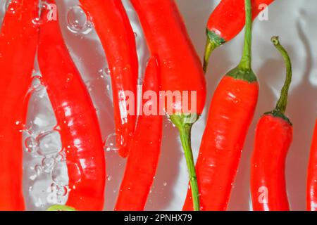 Red chilli peppers close-up in liquid with bubbles. Red chilli peppers with water bubbles. Close-up of fresh red chilli peppers on white background Stock Photo