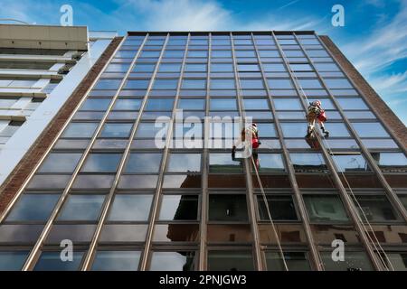 two men cleaning the windows on the heights of a skyscraper Stock Photo
