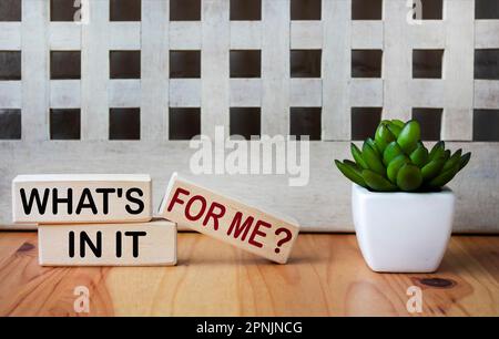 WHAT'S IN IT FOR ME - words written on wooden blocks next to cactus and vintage background Stock Photo