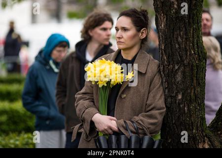 Warsaw, Poland, 19/04/2023, Participant of the ceremony seen holding daffodils as a symbol of the Ghetto Uprising during the ceremony. Poland marked the 80th anniversary of the Warsaw Ghetto Uprising - a violent revolt that occurred from April 19 to May 16, 1943, during World War II. Residents of the Jewish ghetto in Nazi-occupied Warsaw, staged the armed revolt to prevent deportations to Nazi-run extermination camps. The Uprising became an everlasting symbol of the resistance of Polish Jews against the Holocaust. Between 1942 to 1943 Germans transported over 300,000 Jews from the Warsaw Ghett Stock Photo