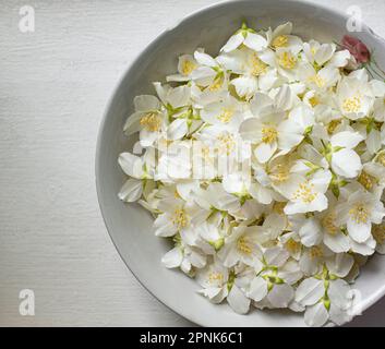 Jasmine flower in a rustic bowl. White jasmine flower for tea and syrup. June flowers in Poland. Europe plants. White flowers. Healthy food. Stock Photo