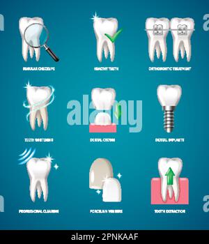 Stomatology dental icons set red square vector Stock Vector Image & Art ...