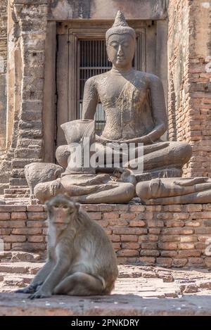 Monkey sitting in front of buddah statue Stock Photo