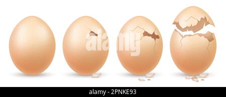 Farm eggs realistic concept set of raw product whole and with broken shell isolated vector illustration Stock Vector