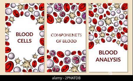 Set of blood cells backgrounds. Design for blood test, anemia, donation, hemophilia, laboratory scientific research concepts. Vector illustration in s Stock Vector