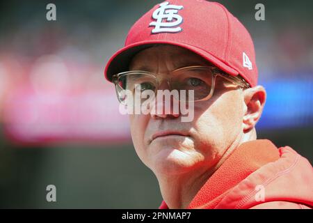 This is a 2022 photo of coach Tony Perezchica of the Arizona Diamondbacks  baseball team shown, Monday, March 21, 2022, in Scottsdale, Ariz. (AP  Photo/Matt York Stock Photo - Alamy