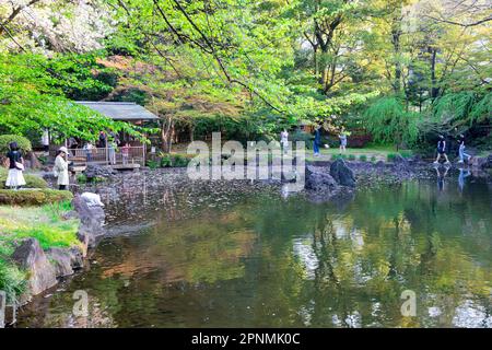 Tokyo April 2023, Shinchi Gardens the Sacred Pond Garden in the grounds of Yasukini shrine in Chiyoda City,Tokyo,Japan Stock Photo