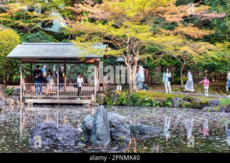 Tokyo April 2023, Shinchi Gardens the Sacred Pond Garden in the grounds of Yasukini shrine in Chiyoda City,Tokyo,Japan Stock Photo