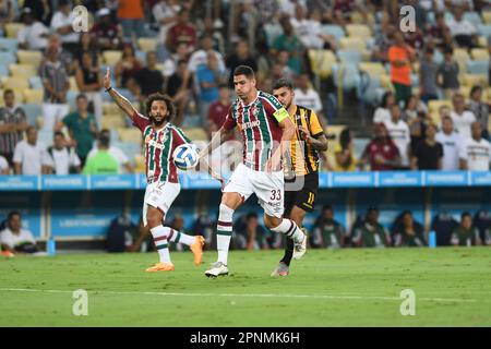 Rio Janeiro Brazil August 2023 Match Fluminense Olimpia Libertadores 2023 –  Stock Editorial Photo © A.Paes #673275928