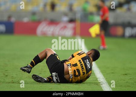 Rio Janeiro Brazil August 2023 Match Fluminense Olimpia Libertadores 2023 –  Stock Editorial Photo © A.Paes #673275928