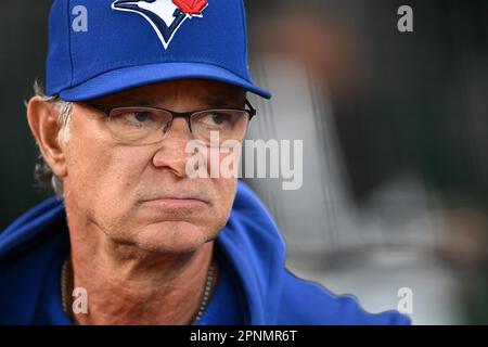 Toronto Blue Jays bench coach Don Mattingly looks from the dugout during  the first inning of a baseball game against the Miami Marlins, Monday, June  19, 2023, in Miami. (AP Photo/Lynne Sladky