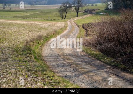 Long dirt road in the countryside between agricultural fields and trees on a sunny day in spring Stock Photo