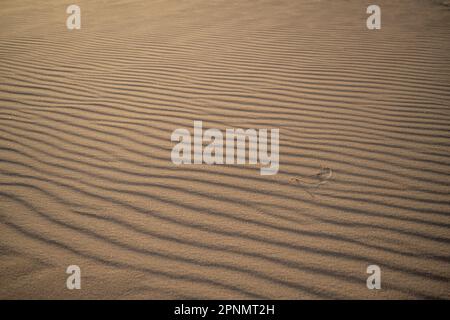 Rippled sand with contrasting lines running horizontally Stock Photo